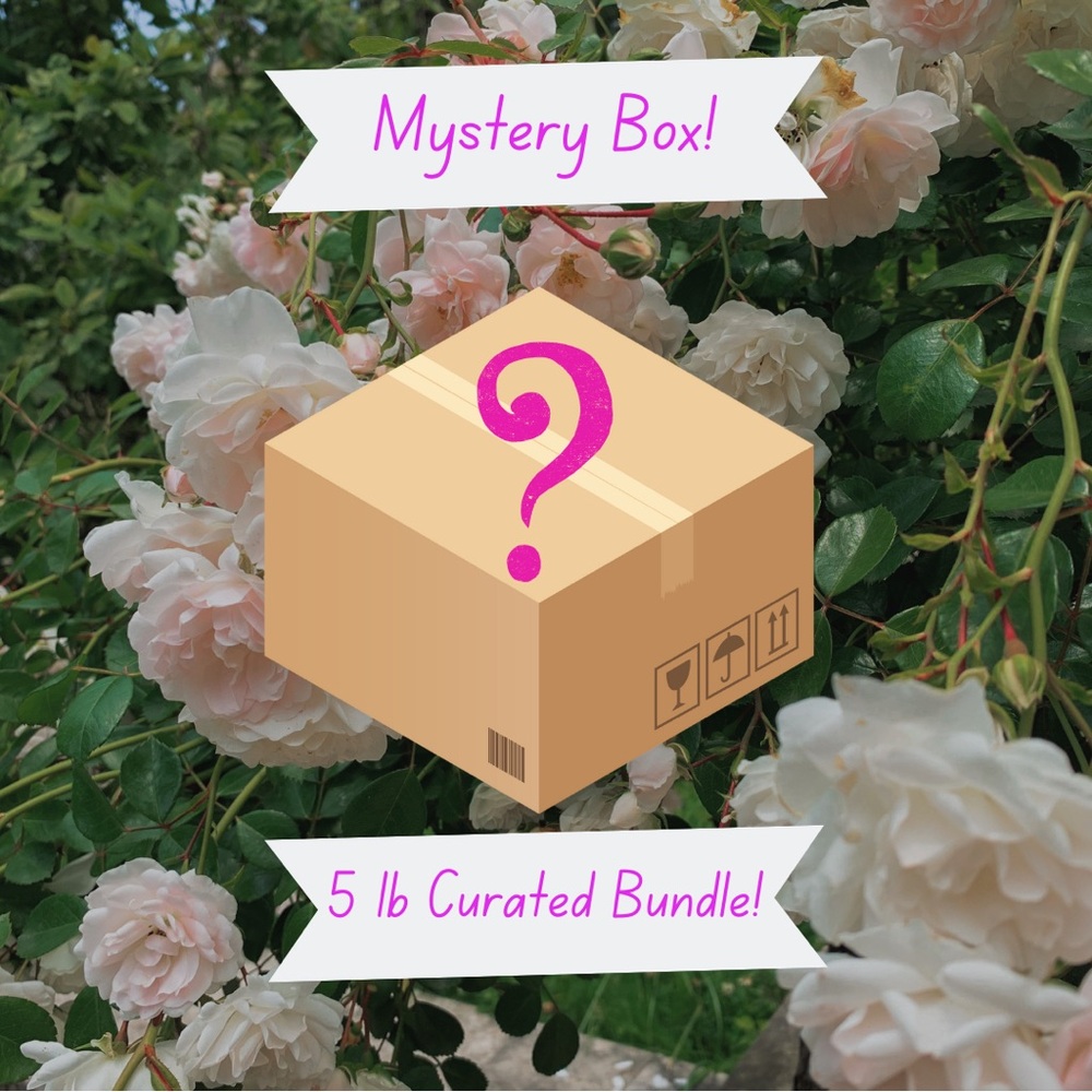 Curated 5lb Mystery Box!
